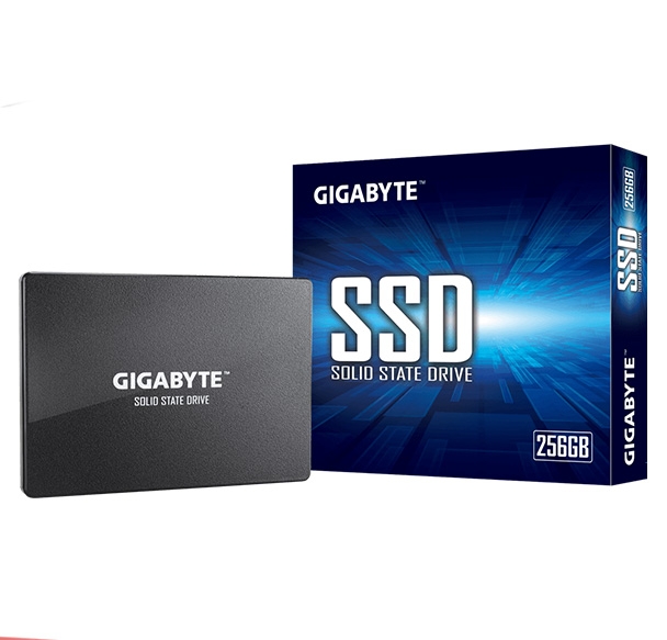 Ổ SSD Gigabyte GP-GSTFS31256GTND 256Gb 2,5