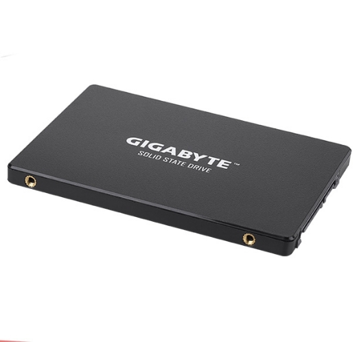 Ổ SSD Gigabyte GP-GSTFS31256GTND 256Gb 2,5