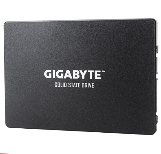 Ổ SSD Gigabyte GP-GSTFS31256GTND 256Gb 2,5